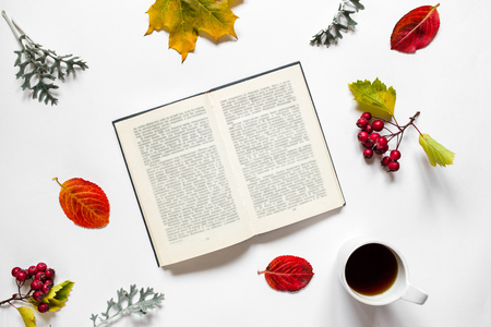 Workspace. Composition of text book, a cup of tea,autumn leave, red berries of haw on white background.の写真素材