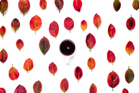 Flat composition of red autumn leaves ornament , cup of tea at centre on white background.