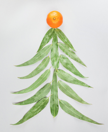 Christmas and new year tree made of eucaliptus leaves and mandarin on light grey background. Flat lay. Holiday concept.の写真素材