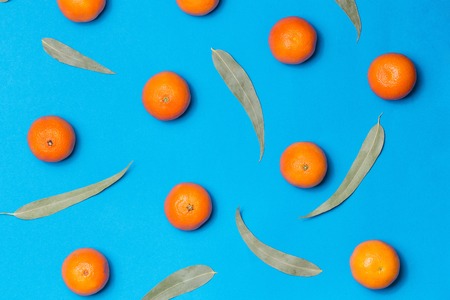 Christmas composition. Mixed fresh citrus fruits and eucaliptus leaves background Flat lay, top...