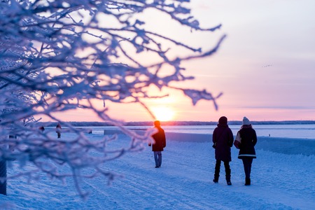Branches covered with hoarfrost and silhouettes of people going ahead to the sun in frosty day. Concept hard frosts.の写真素材