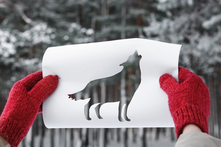 Winter Forest Through Wolf Shape Cut Out from Paper. Concept of Forest Dwellers.