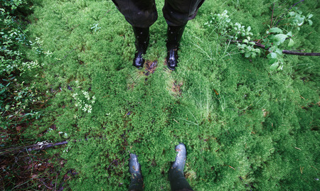 Male and female feet in rubber boots in thick moss.の写真素材