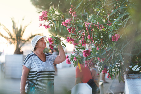 Elegant mature woman holding blooming branch