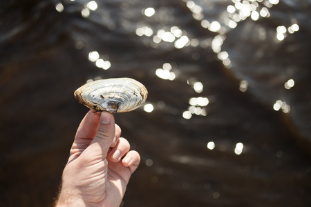 Man holding a shell in his hand on the sea shore.の写真素材