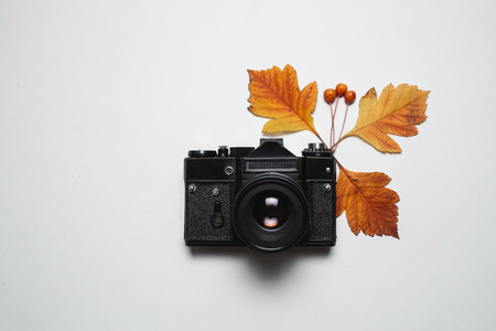 Vintage retro camera and autumn fall leaves. Flay lay, top view. Nature, season photograph and decor conceptの写真素材