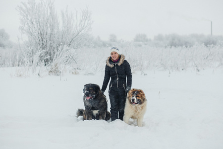Cheerful young woman with two caucasian shepherd dog on snow-covered field in frosty winter dayの写真素材