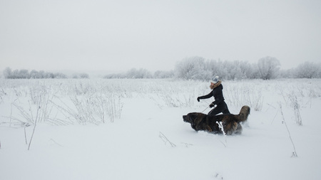 Cheerful young woman playing with caucasian shepherd dog on snow-covered field in frosty winter dayの写真素材