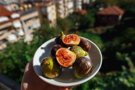 Autumn figs on saucer in hand with green garden on backgroundの写真素材