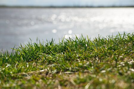 The concept of changeable cloudy windy and rainy weather luscious green grass on the river bank in the background.の写真素材