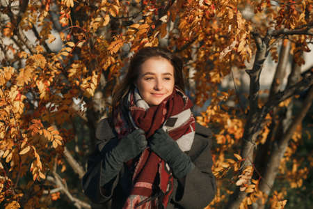 Outdoor fashion photo of young beautiful lady in red scarf and dark grey coat surrounded autumn leavesの写真素材
