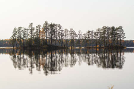 Great view of the lake, pine forest on its shore and pine trees covered islands. Silence of good autumn day. Wonderful reflections of the conifeur trees in the waterの写真素材