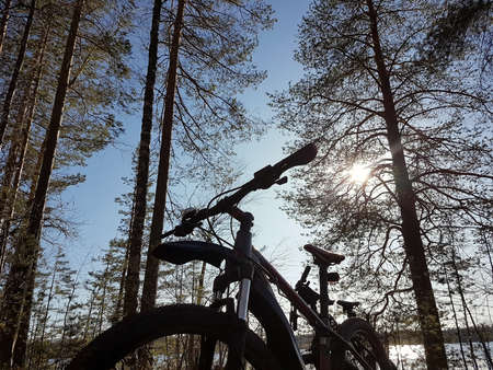 Mountain bicycle stay among a forest glade.の写真素材