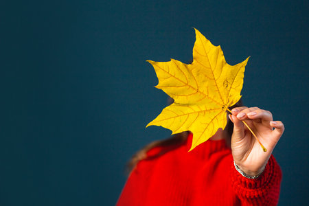 Young woman is holding a maple leaf in front of her face by covering it. No face photography