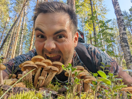 Guy eats a mushrooms Honey agarics in a pine forest. High quality photoの写真素材
