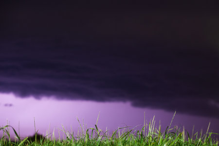 Lightning flashes across the night sky on the field grass. Violet color. Weather changes concept.