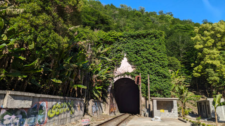 A forgotten railway tunnel hidden amidst vibrant foliage and artistic graffiti, showcasing natures reclaiming.の写真素材