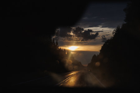 A captivating sunset casts a warm glow over a rain-soaked road, surrounded by dark silhouettes of trees. Perfect for landscape and travel themes.の写真素材