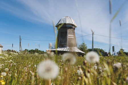 A picturesque windmill stands amidst a field of dandelions under a vibrant blue sky, embodying rustic charm and tranquility.の写真素材