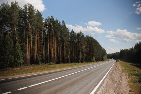A serene view of a winding road bordered by lush green trees under a clear blue sky. Ideal for...