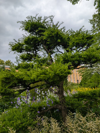 A beautiful, lush green tree stands amidst a vibrant garden, framed by a moody cloudy sky in an urban setting.の写真素材