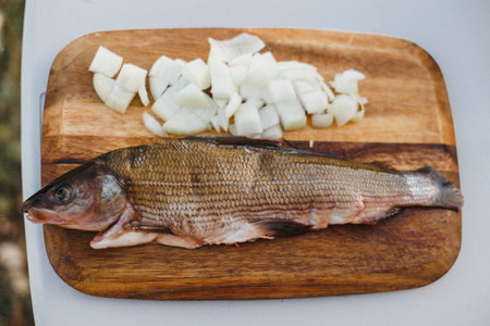 A beautifully freshly caught fish displayed artfully alongside vibrant, chopped vegetables on a rustic wooden boardの写真素材