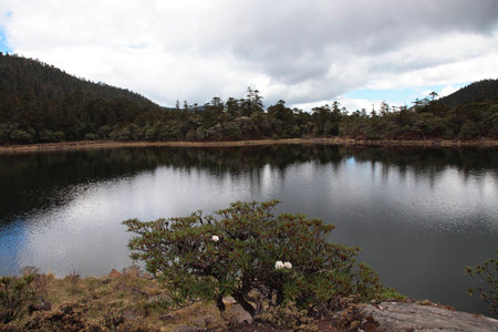 Lakeside plateauの写真素材