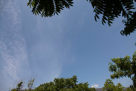 Background with photoの写真素材