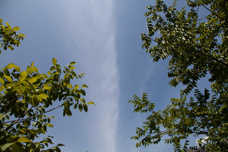 skyの写真素材