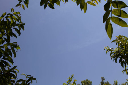 skyの写真素材
