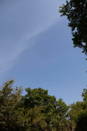skyの写真素材