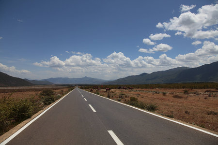Roadの写真素材