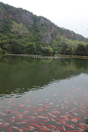 Sceneryの写真素材