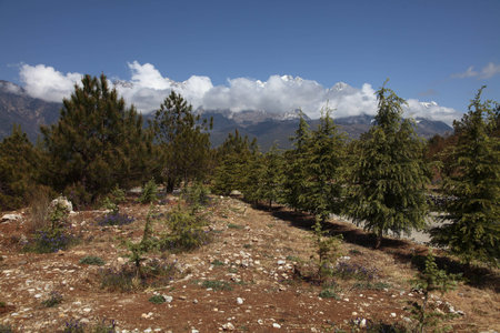 Yulong Snow Mountainの写真素材