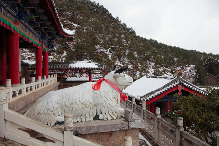 Naxi cultureの写真素材