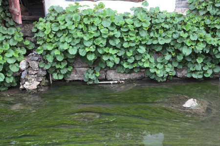 Water Landscapeの写真素材