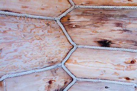 Cut of a tree structureの写真素材