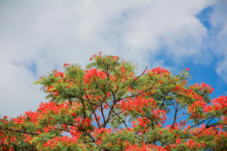 Sky at bright beautifulの写真素材