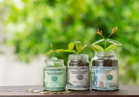 Plant tree growht in clear glass bottle filled with dollar bills and coins on out of focus background.の写真素材