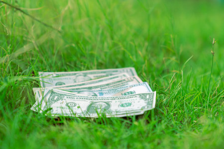 Dollar bills growing in grass symbolizing investment growth, conceft of saving and investment.の写真素材