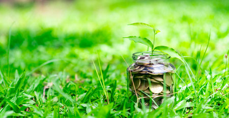 A jar filled with coins rests on a patch of grass, symbolizing simple beginnings and future growth.の写真素材