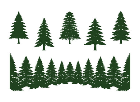 pine tree of evergreen forest silhouette clipart vector, collection set isolated on white background.のイラスト素材