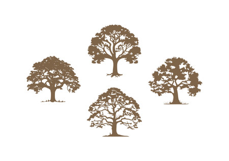Oak Tree Silhouette Clipart of oak trees vector natural green plants symbol, forest element icon set isolated on white backgroundのイラスト素材