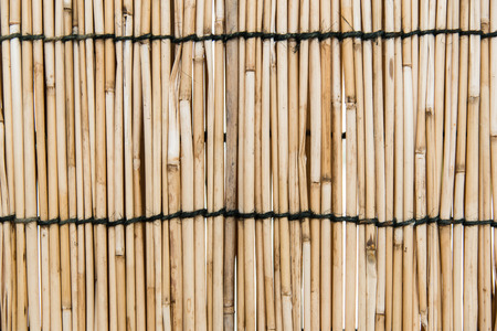 Close up of beautiful bamboo wallの写真素材