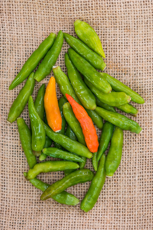 Close up of local chilli in thailand call bird chilli or prick kee noo use for spice thai food.の写真素材