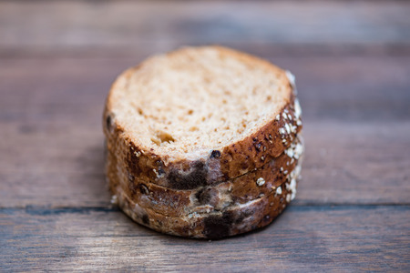 Close up of black fungus on expire organic french bread made from wheat flour raisin and multi grain...