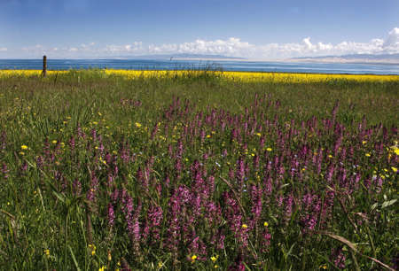 China's qinghai hu special sceneryの写真素材