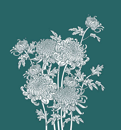 Bunch of Japanese flower chrysanthemum. Outline drawing ink style. Illustration luxury design. Monochrome vector graphic.のイラスト素材