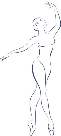 Beautiful young ballerina doing exercise. Line sketch female body. Woman dancing classic ballet. vector illustrationのイラスト素材