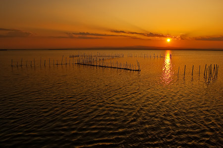 golden sunset with warm colors in the albufera lake in Valencia, Spain with fishing traps on the waterの写真素材